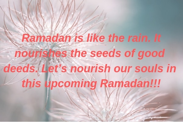 Ramadan kareem coming quotes 