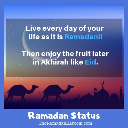 Happy Ramadan Ramzan Status for Whatsapp and Facebook free download 2019