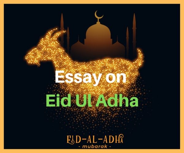 Download Essay on Eid Ul Adha english and urdu
